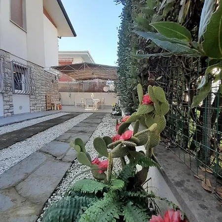 Liana Apuana Mare *